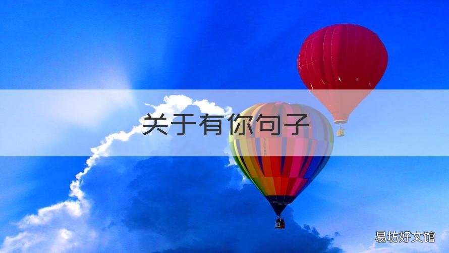 关于有你句子 有你的短句子