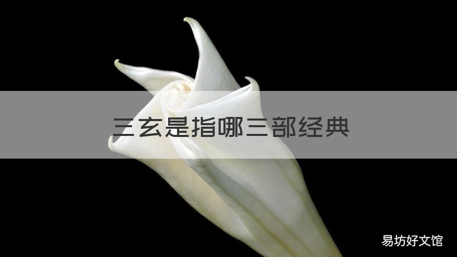 三玄是指哪三部经典 三玄是哪三部作品