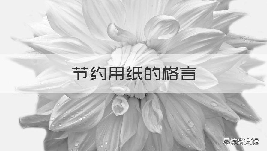 节约用纸的格言 节约用纸的格言有哪些
