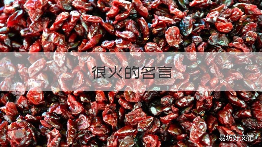 很火的名言 关于火的名人名言短的