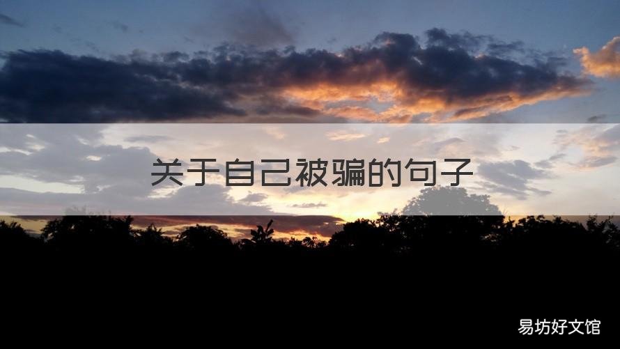 关于自己被骗的句子 形容自己被骗的句子