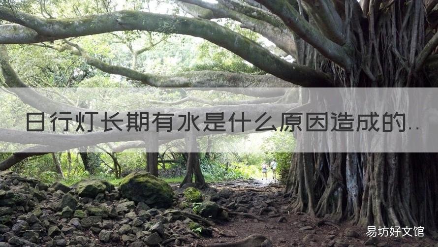 日行灯长期有水是什么原因造成的 日行灯进水了时亮时不亮的