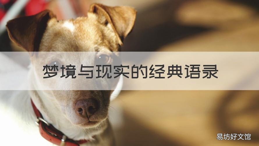 梦境与现实的经典语录 梦和现实的经典语录