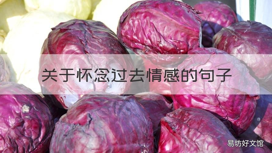 关于怀念过去情感的句子 怀念过去的伤感句子精选