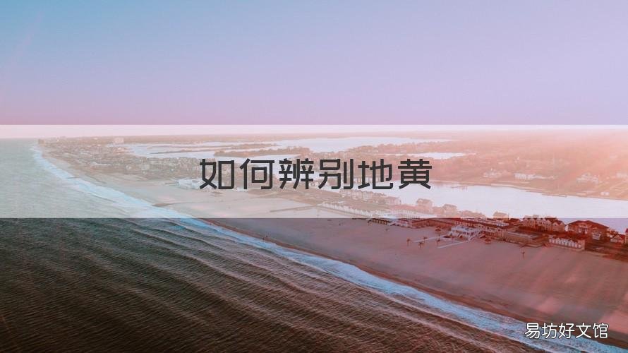 如何辨别地黄 如何辨别生地黄和熟地黄