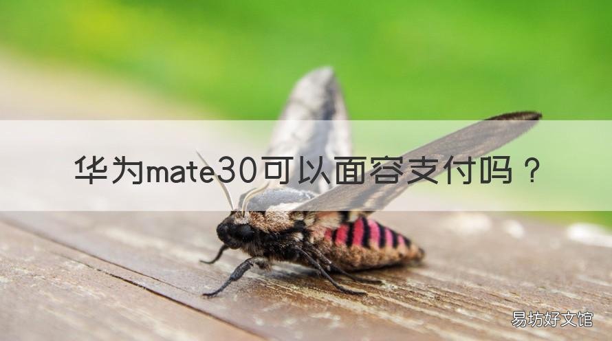 华为mate30可以面容支付吗 mate30能面容支付吗