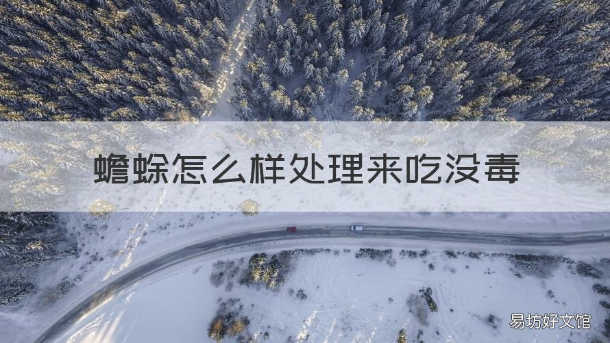蟾蜍怎么样处理来吃没毒