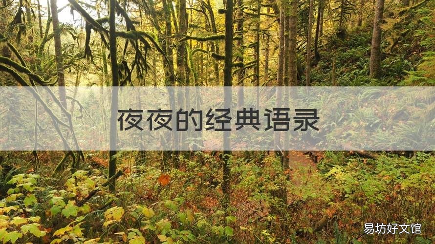 夜夜的经典语录 夜晚生活语录