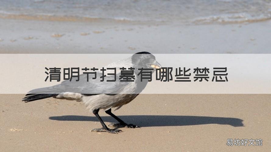 清明节扫墓有哪些禁忌 清明节扫墓禁忌什么