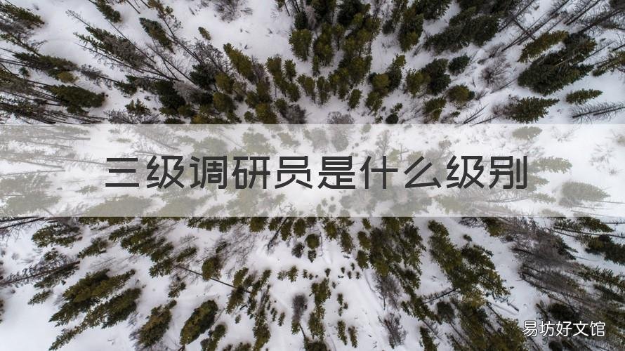 三级调研员是什么级别 一二三四级调研员是什么级别