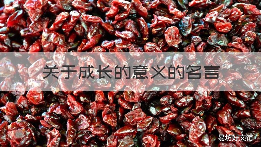 关于成长的意义的名言 关于成长的一句名言