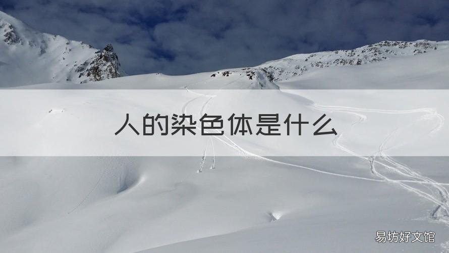 人的染色体是什么 怎么才能知道男人的染色体是什么