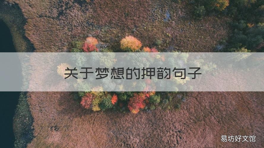 关于梦想的押韵句子 关于梦想的押韵句子有哪些