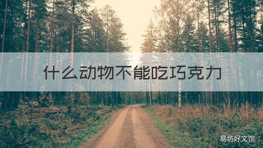 什么动物不能吃巧克力 小动物不能吃巧克力