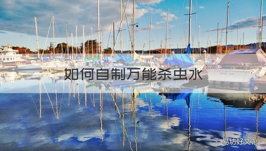 如何自制万能杀虫水 自制万能杀虫水室内的