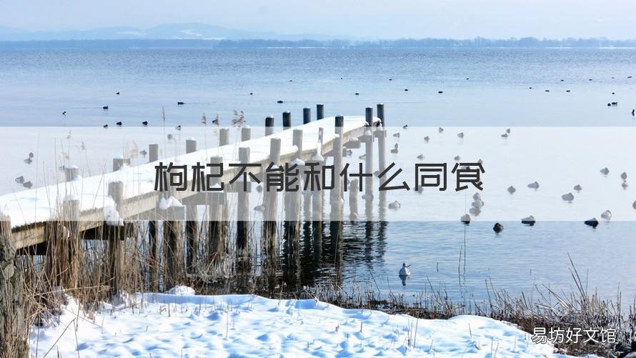 枸杞不能和什么同食
