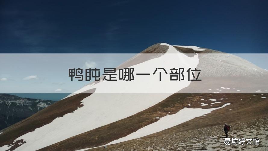 鸭盹是哪一个部位 鸭胗是哪个部位?