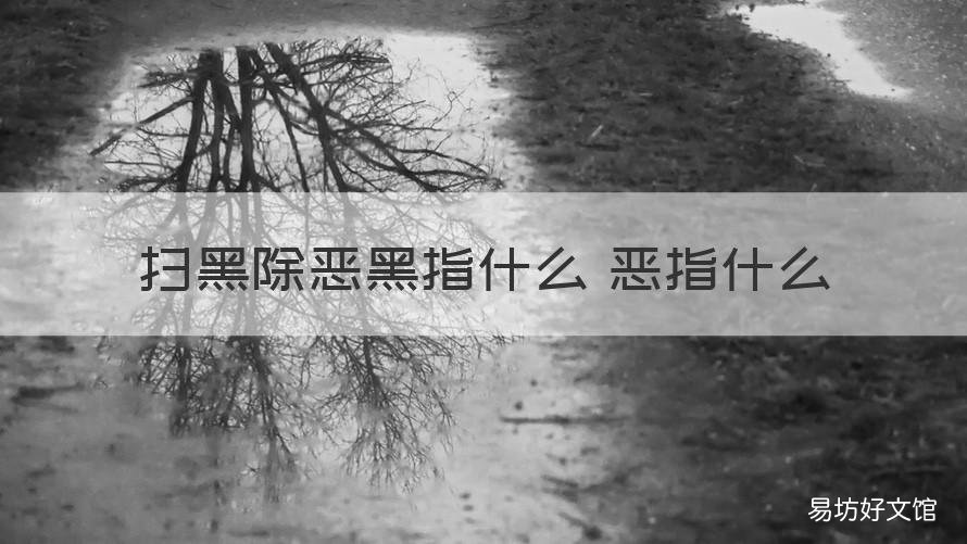 扫黑除恶黑指什么 恶指什么 扫黑除恶的黑与恶指的是什么