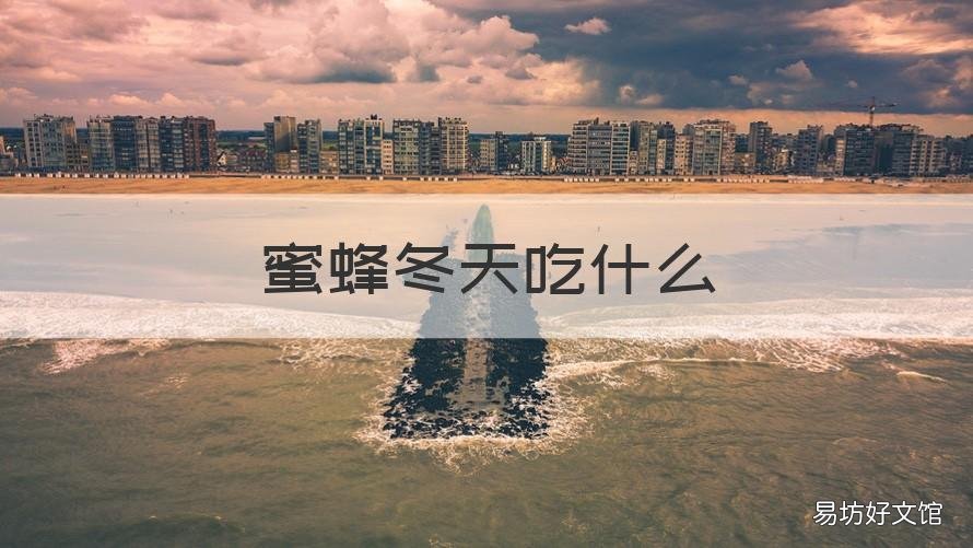 蜜蜂冬天吃什么 蜜蜂冬眠吃什么