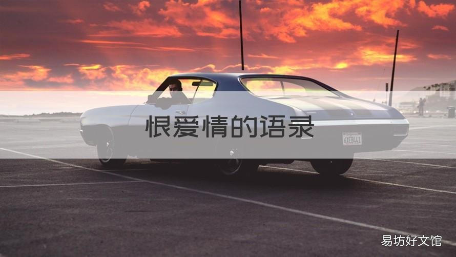 恨爱情的语录 爱情恨的句子