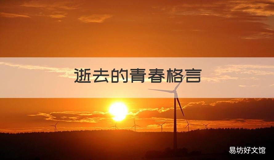 逝去的青春格言 逝去的青春格言怎么写