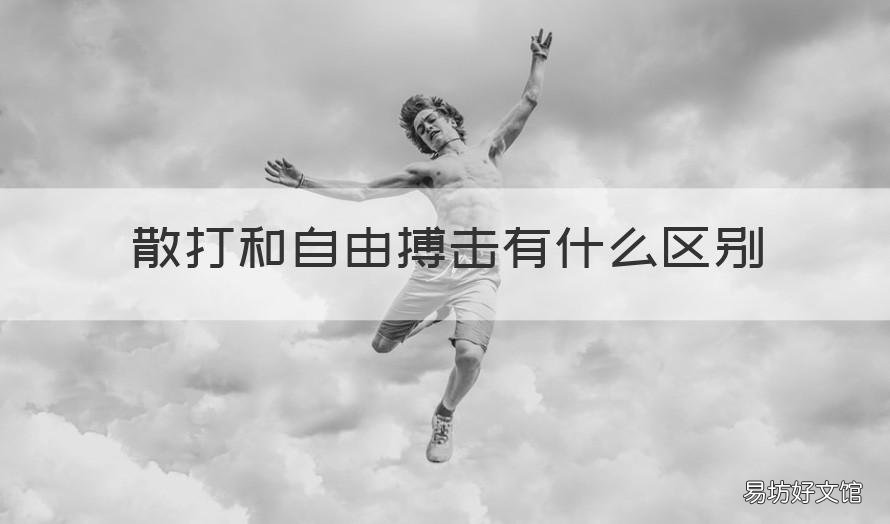 散打和自由搏击有什么区别 散打和自由搏击有什么区别和联系