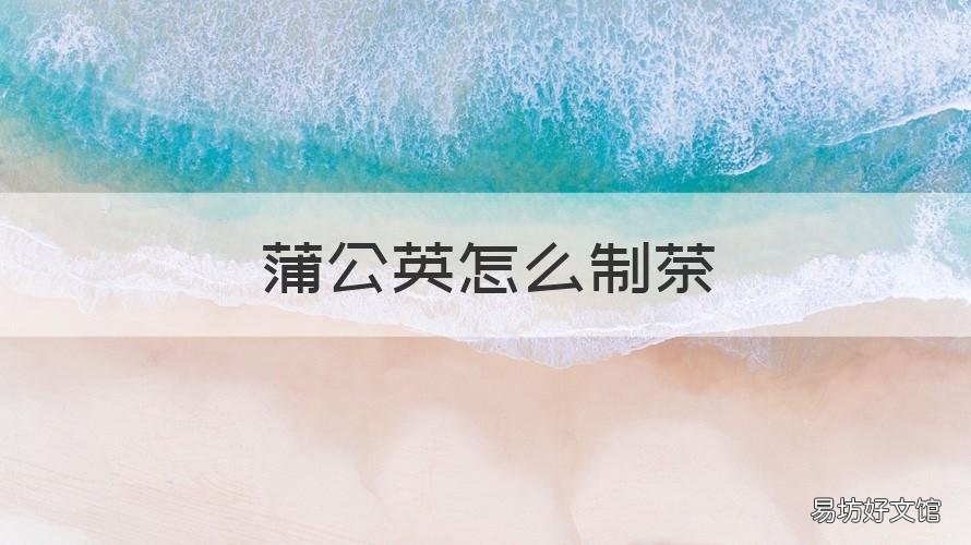 蒲公英怎么制茶 蒲公英怎么制茶简单又方便