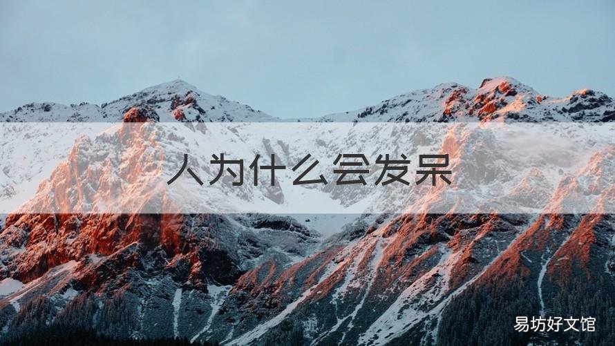 人为什么会发呆 人为什么会发呆放空