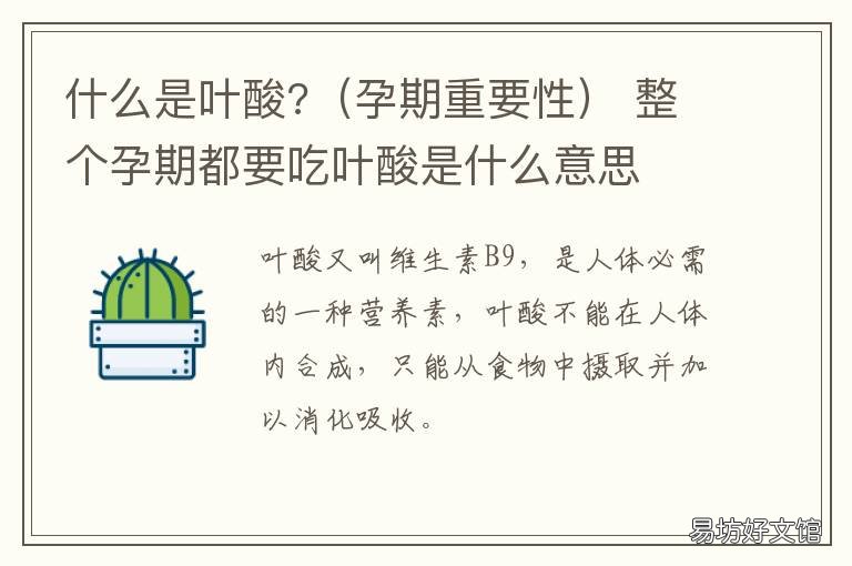 什么是叶酸? 什么是叶酸代谢高风险