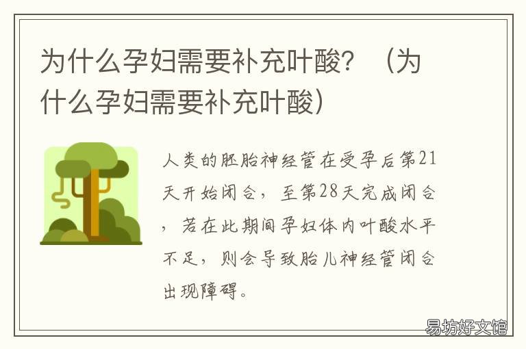 为什么孕妇需要补充叶酸? 孕妇应该补充叶酸吗