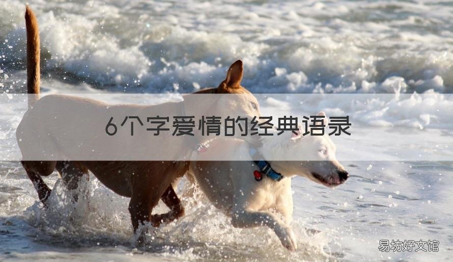 6个字爱情的经典语录 爱情的句子六个字