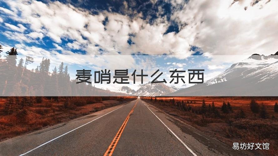 麦哨是什么东西 麦哨的主要内容是什么