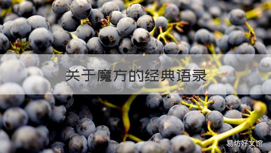关于魔方的经典语录 魔方的句子赞美魔方的句子