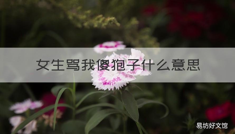 女生骂我傻狍子什么意思 男生说女生傻狍子是什么意思