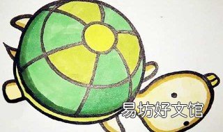 儿童画乌龟简单画法 儿童简笔画乌龟的画法
