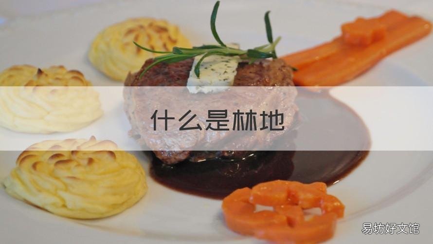 什么是林地 什么是林地所有权