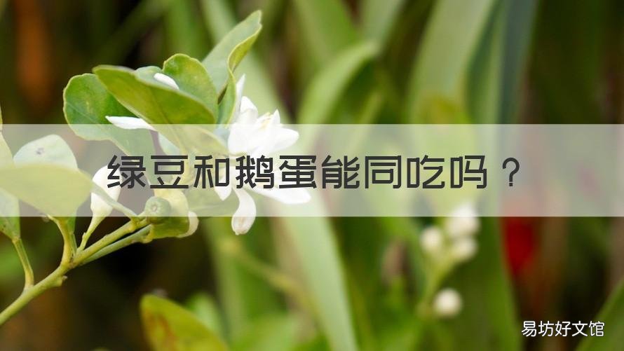 绿豆和鹅蛋能同吃吗 绿豆能与鹅蛋一起吃吗