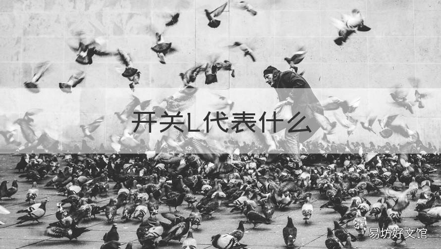 开关L代表什么 开关L代表什么意思