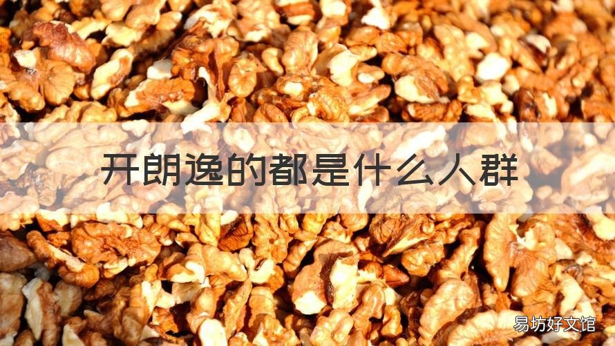 开朗逸的都是什么人群 年轻人开朗逸