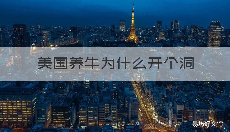 美国养牛为什么开个洞 美国养牛为什么在牛肚子上打个洞