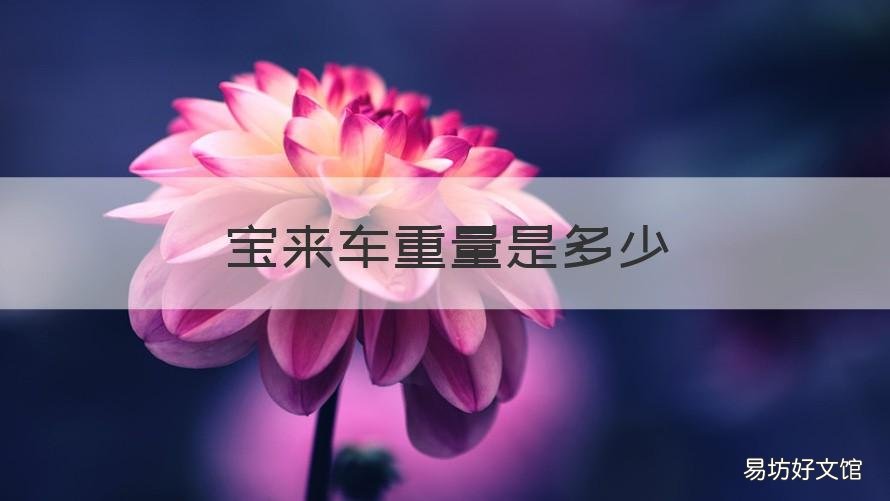 宝来车重量是多少 2017款宝来整车重量