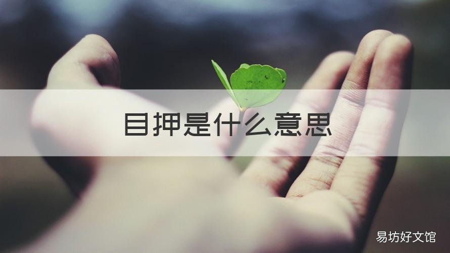 目押是什么意思 软目押是什么意思