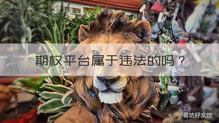 期权平台属于违法的吗 短期期权交易平台合法吗