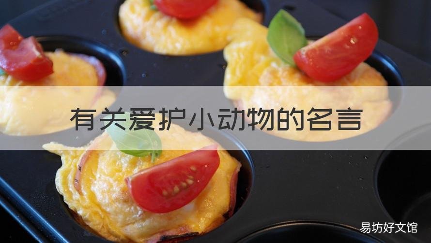 有关爱护小动物的名言 关于爱护小动物的名言名句