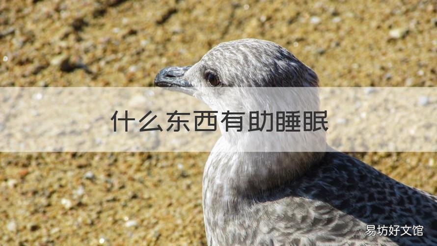 什么东西有助睡眠 什么东西有助睡眠女士