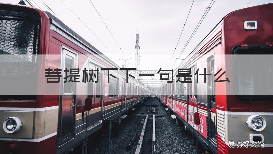 菩提树下下一句是什么 菩提树下的下一句是什么