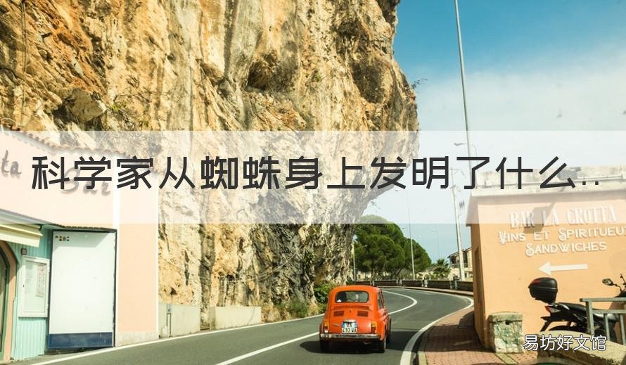 科学家从蜘蛛身上发明了什么 人类根据蜘蛛发明了什么?
