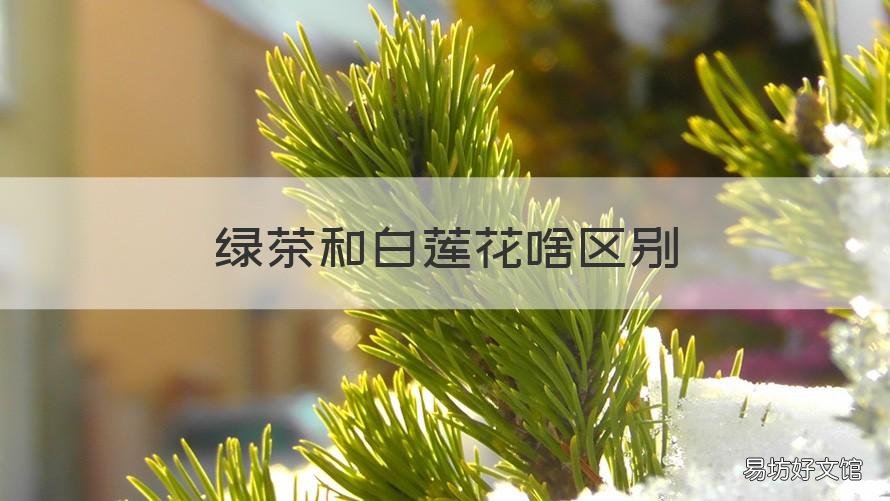 绿茶和白莲花啥区别 白莲花和绿茶有啥区别