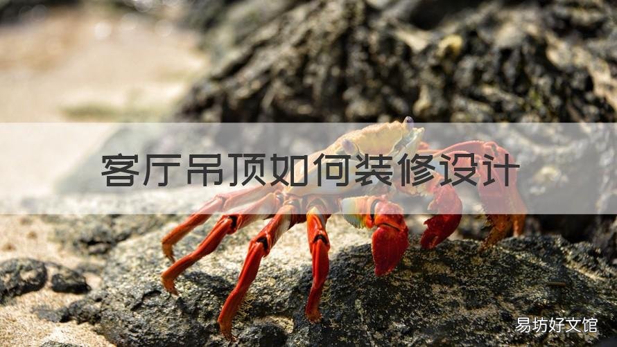 客厅吊顶如何装修设计 客厅吊顶装修设计图