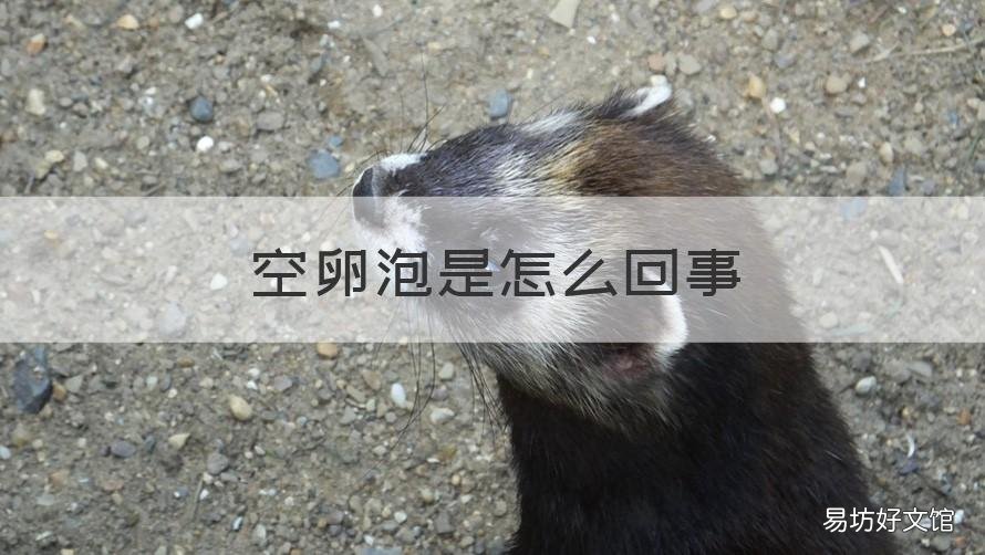 空卵泡是怎么回事 什么情况会空卵泡